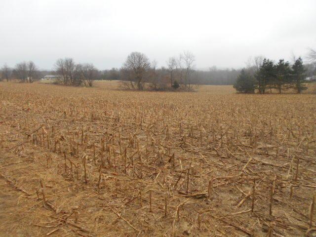 30 + Acre Canary Ln, Little Falls, WI 54656