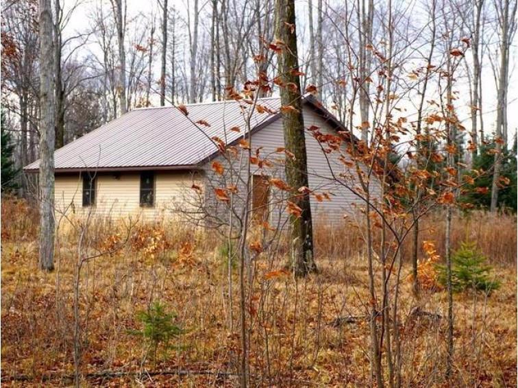 N14412 Mattison Ln, Amberg, WI 54102