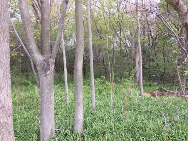 Lt1 High Dr, Waterford, WI 53120