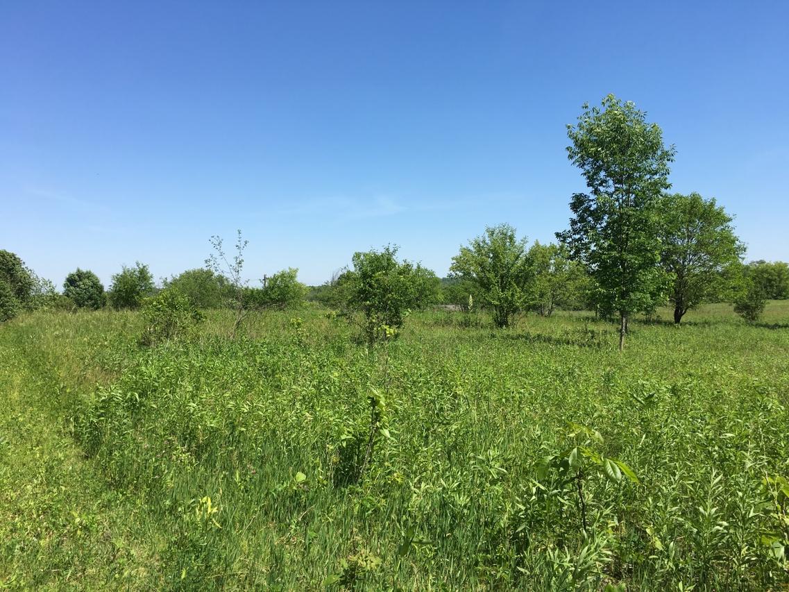 Lt0 East Cliffe Dr, Richfield, WI 53076