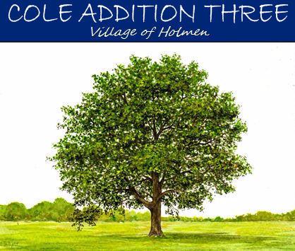 LOT 16 Block 4 Pioneer Dr., Holmen, WI 54636