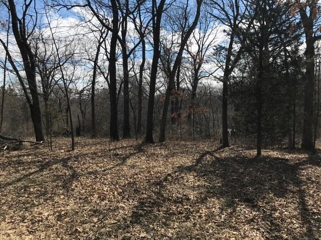 Lt117 Stoneridge Dr., Mukwonago, WI 53149