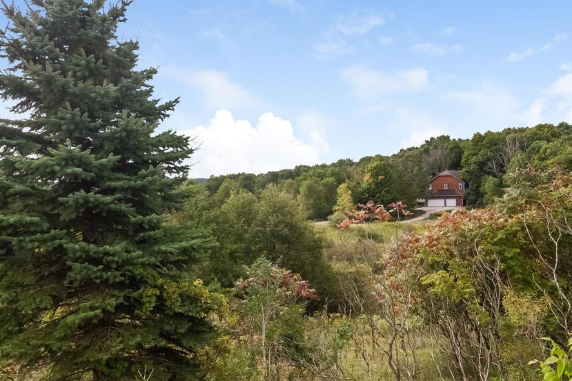 6439 Saint Patrick Ln, Erin, WI 53027