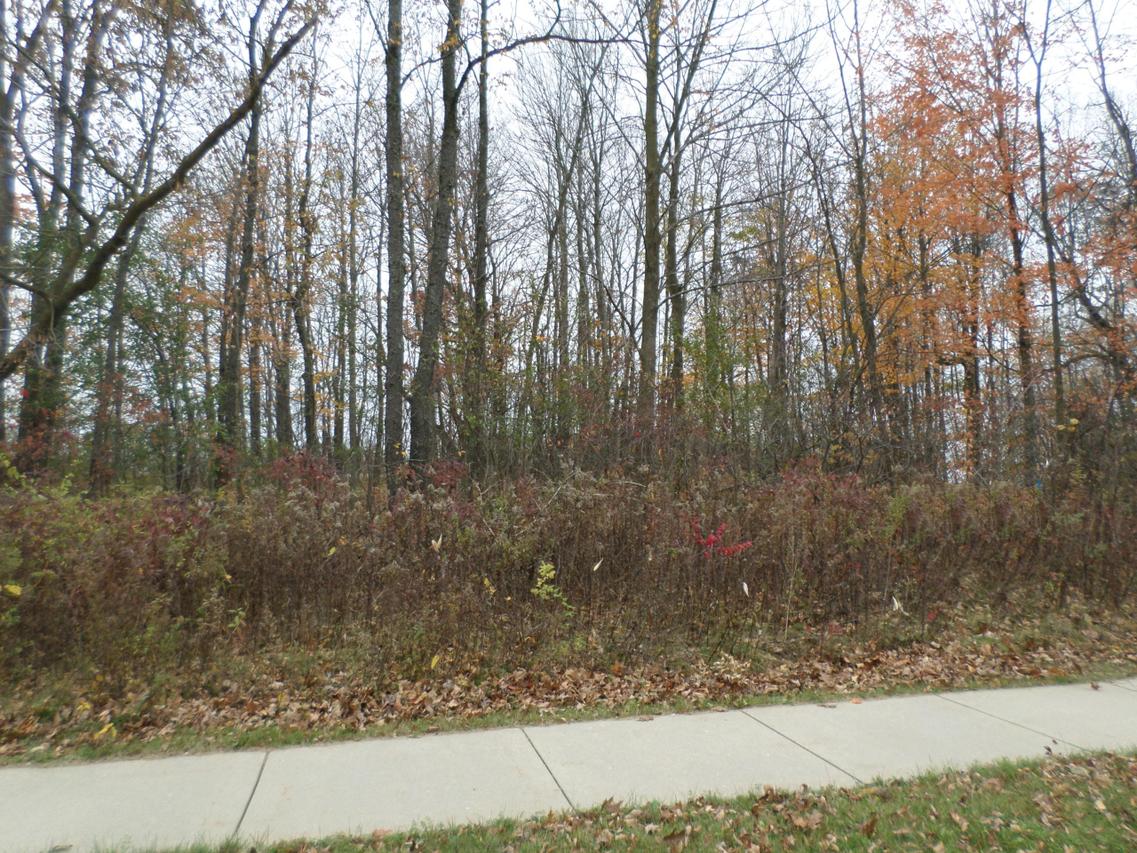 260 Nordic Ln #Lt13, Slinger, WI 53086