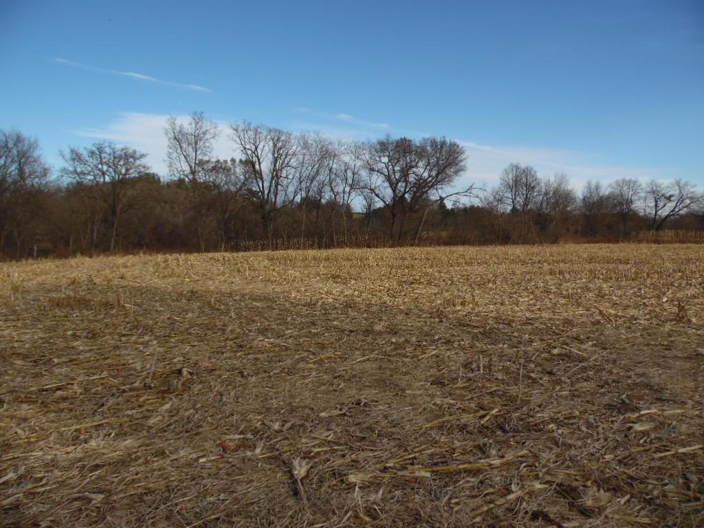 28 acres Skunk Coulee Rd, Gale, WI 54630