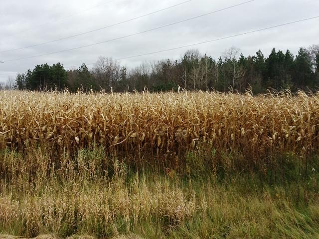 3151 W Elm Rd., Franklin, WI 53132