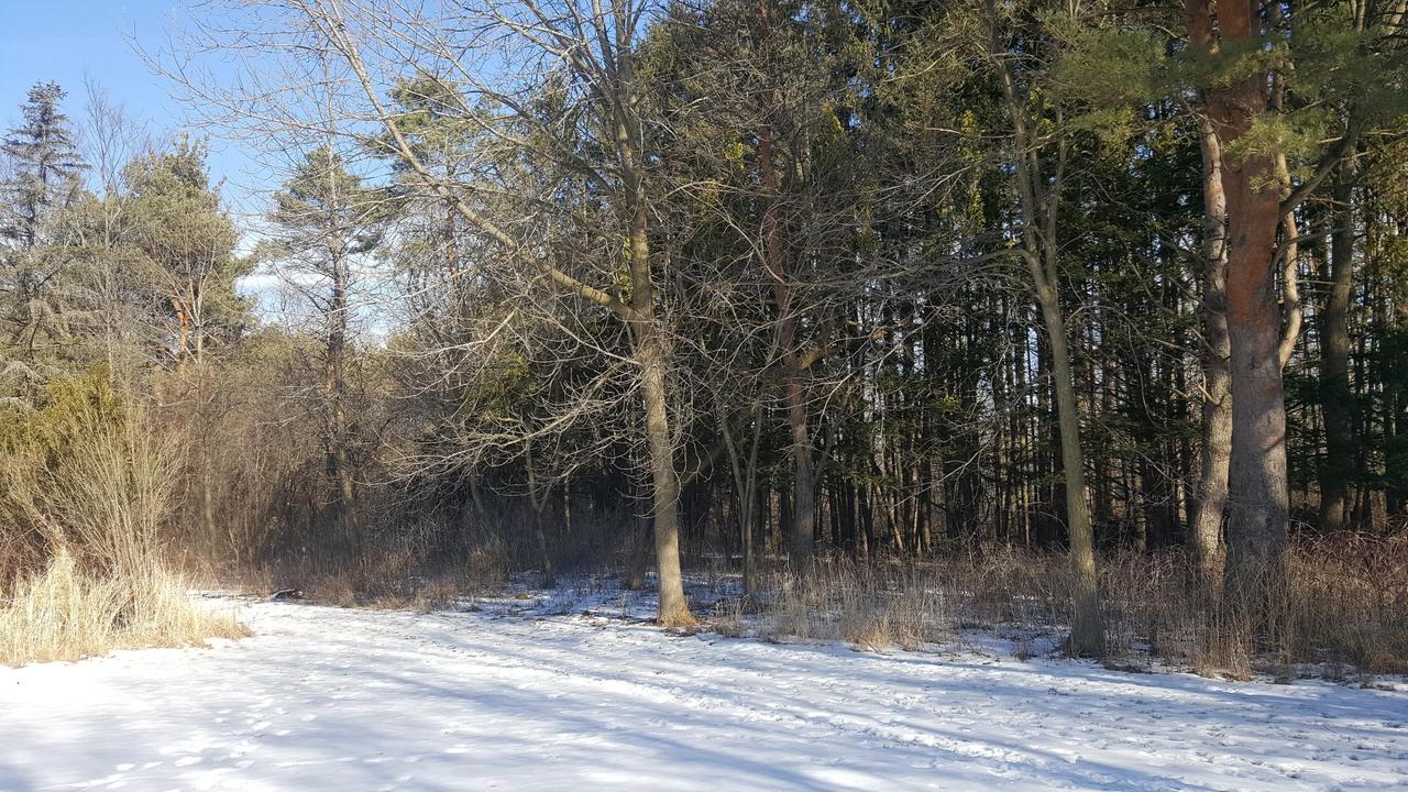 N88W22162 N Lisbon Rd, Lisbon, WI 53089