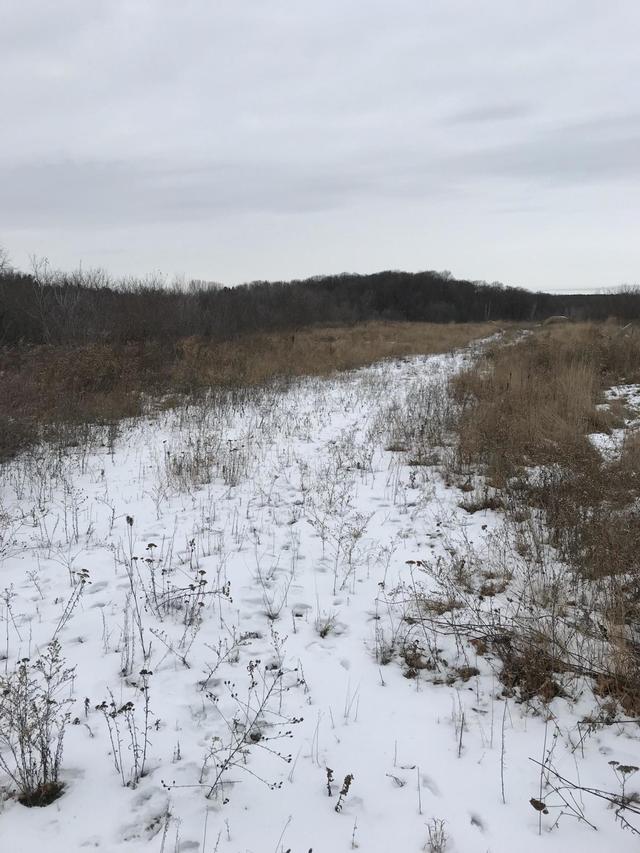 16.72 Acre Hill And Dale Rd., Plymouth, WI 53073