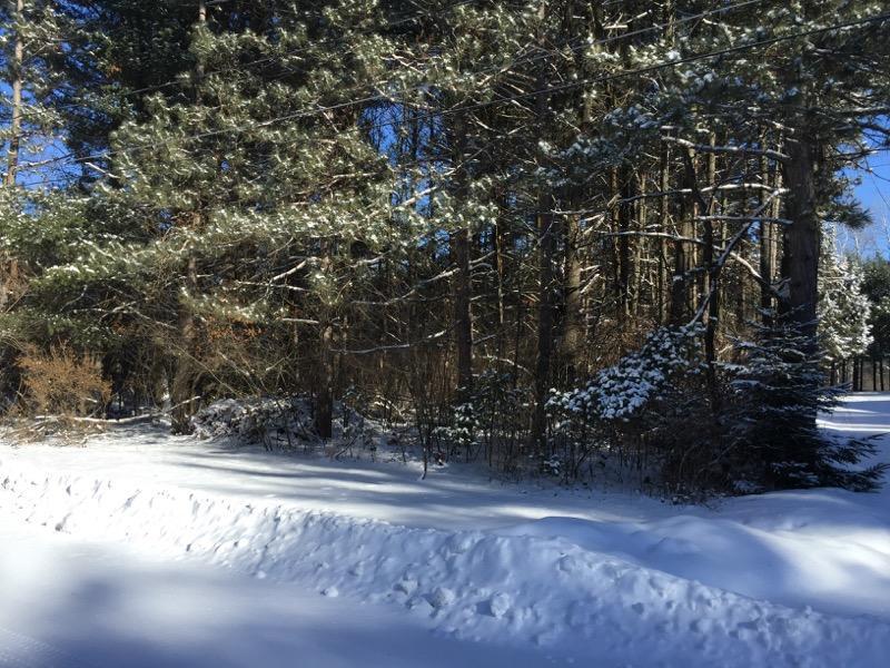 E Miner Dr, Dayton, WI 54981