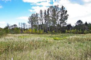 682 Falls Rd #Lt5, Grafton, WI 53024
