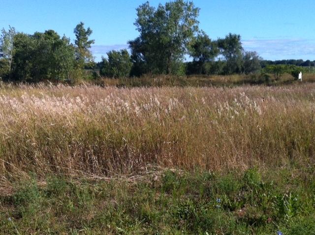 7912 W Glenbrook Rd., Milwaukee, WI 53223