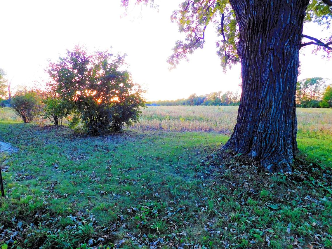 W148N12301 Pleasant View, Germantown, WI 53022