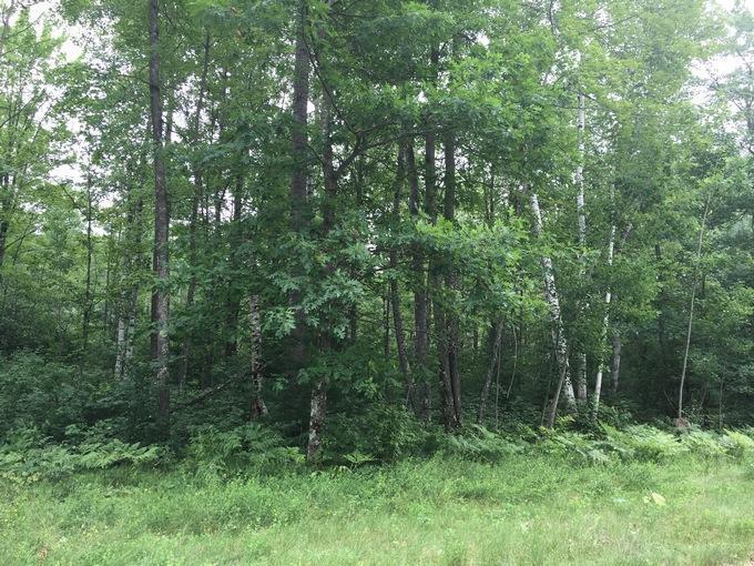 Lt74 Menominee Woods Dr, Wagner, WI 54177