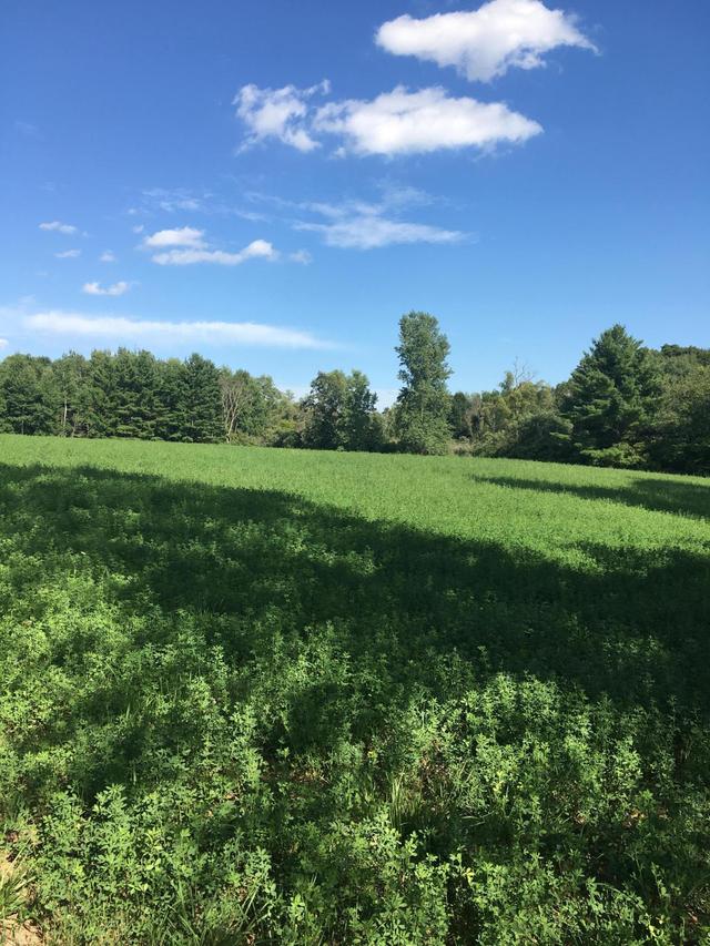 Parcel Parkview Rd., Glenmore, WI 54208