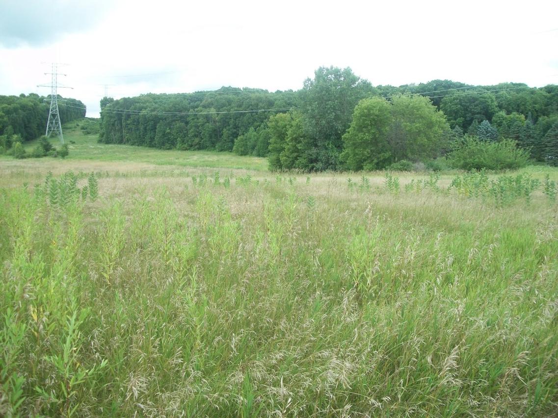 Lt1 Edgewood Ave., Vernon, WI 53103