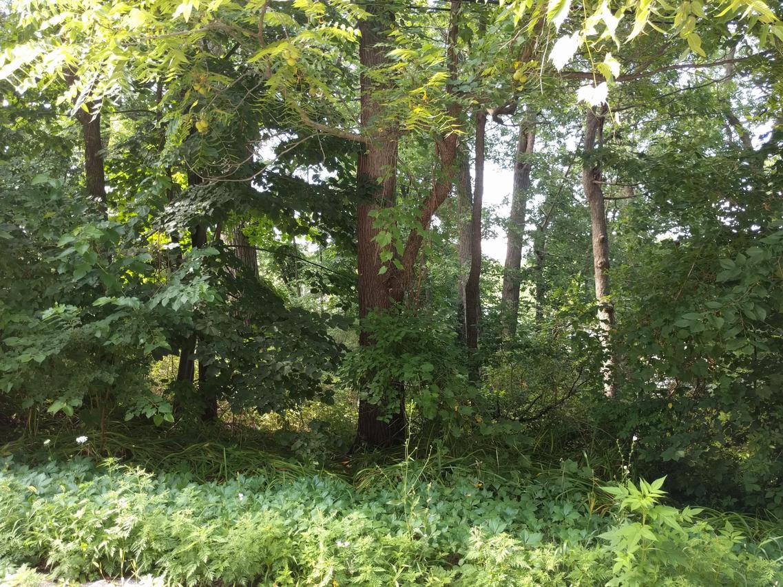 Lt61 Barnes Ln #-Lt64, Waterford, WI 53185