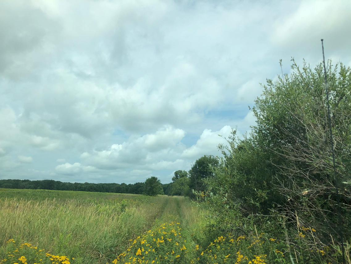 W488 County Road P, Wien, WI 54426
