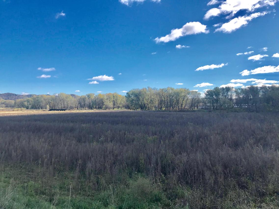 XXX County Road P, Buffalo, WI 54629