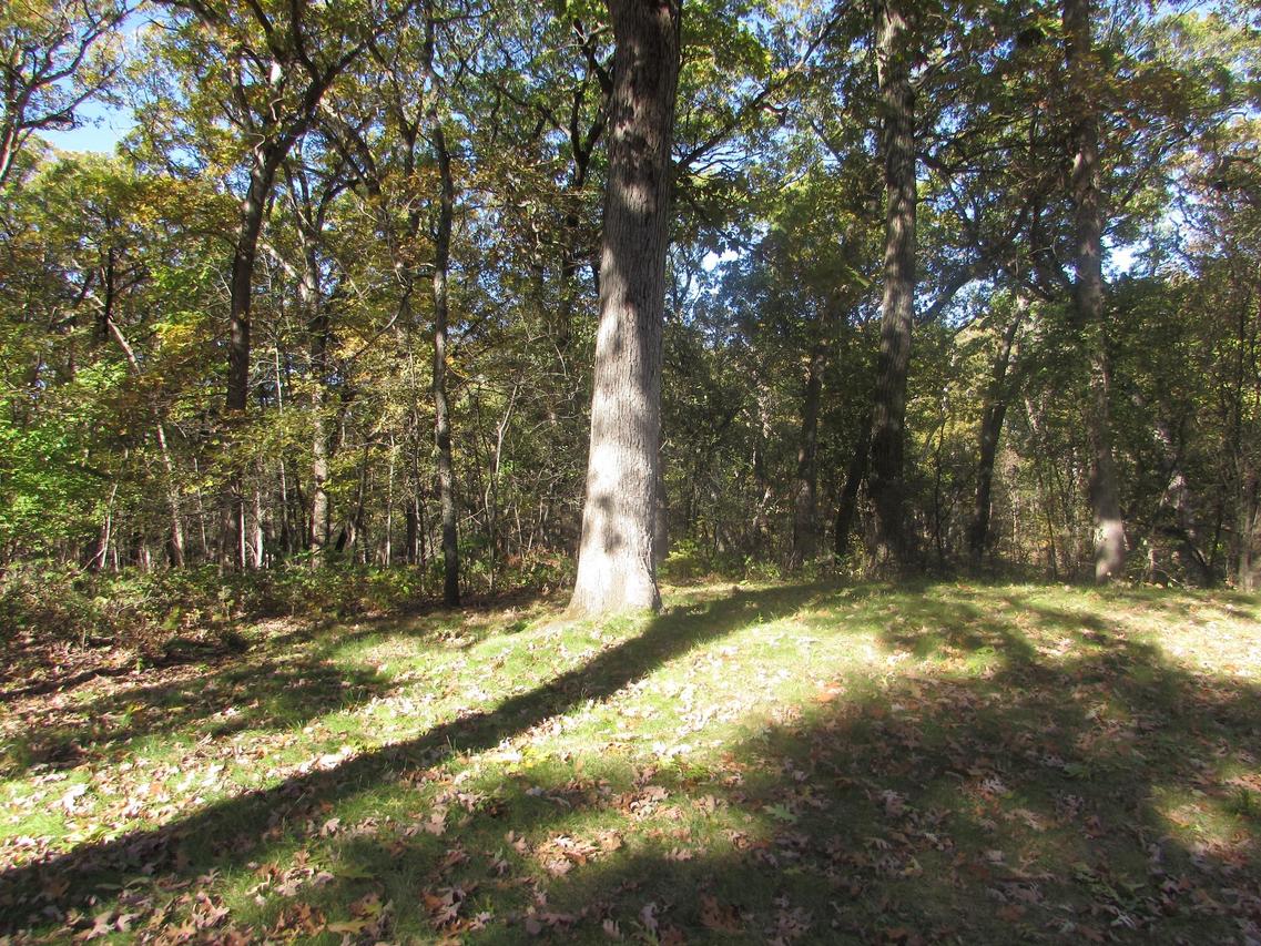 Lt0 Ridge Rd, Geneva, WI 53147