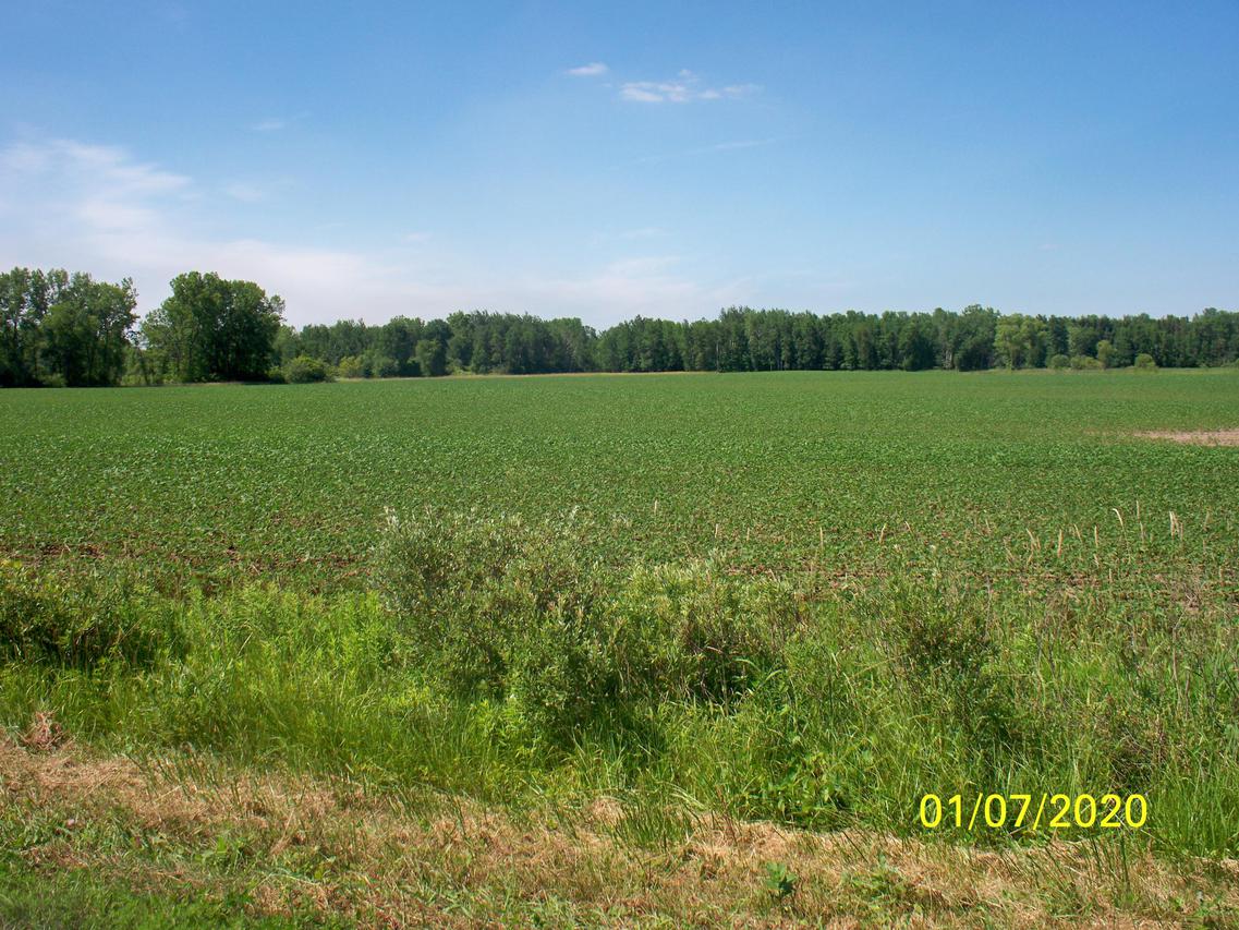 TBD Krakow Rd., Morgan, WI 54137