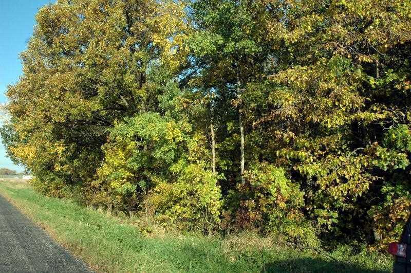 Land Carstens Lake Rd., Liberty, WI 54245