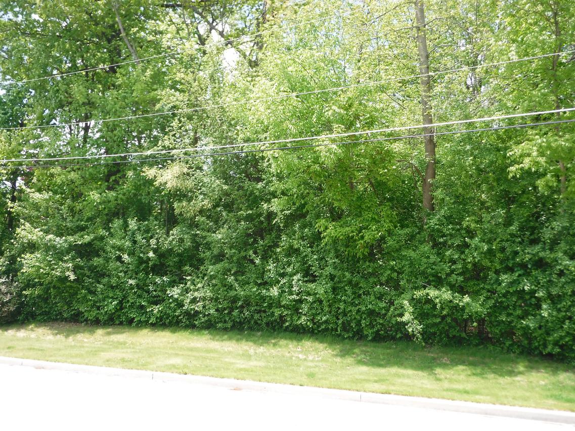 232 Morgan Dr., Manitowoc, WI 54220