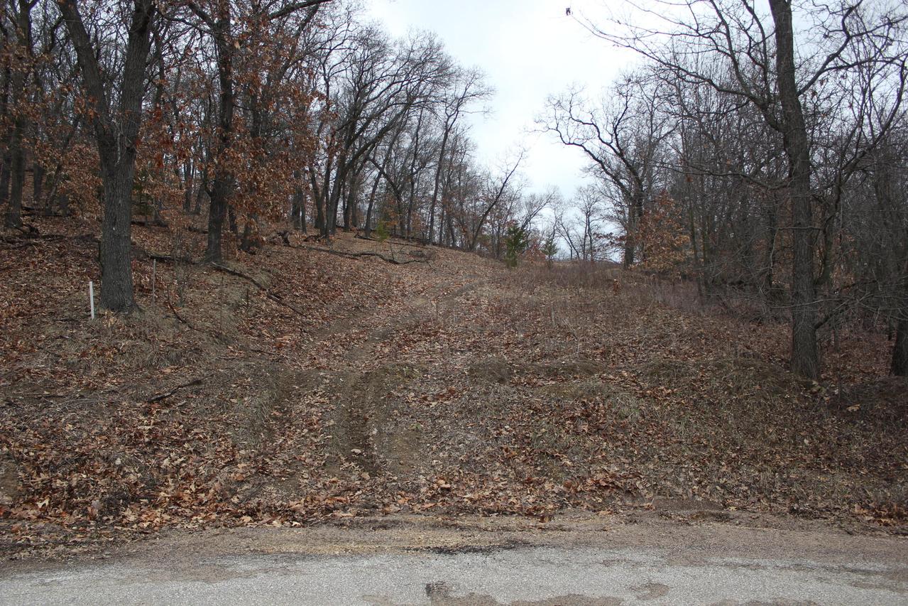 Lot 19 Idyllic Rd, Leon, WI 54656