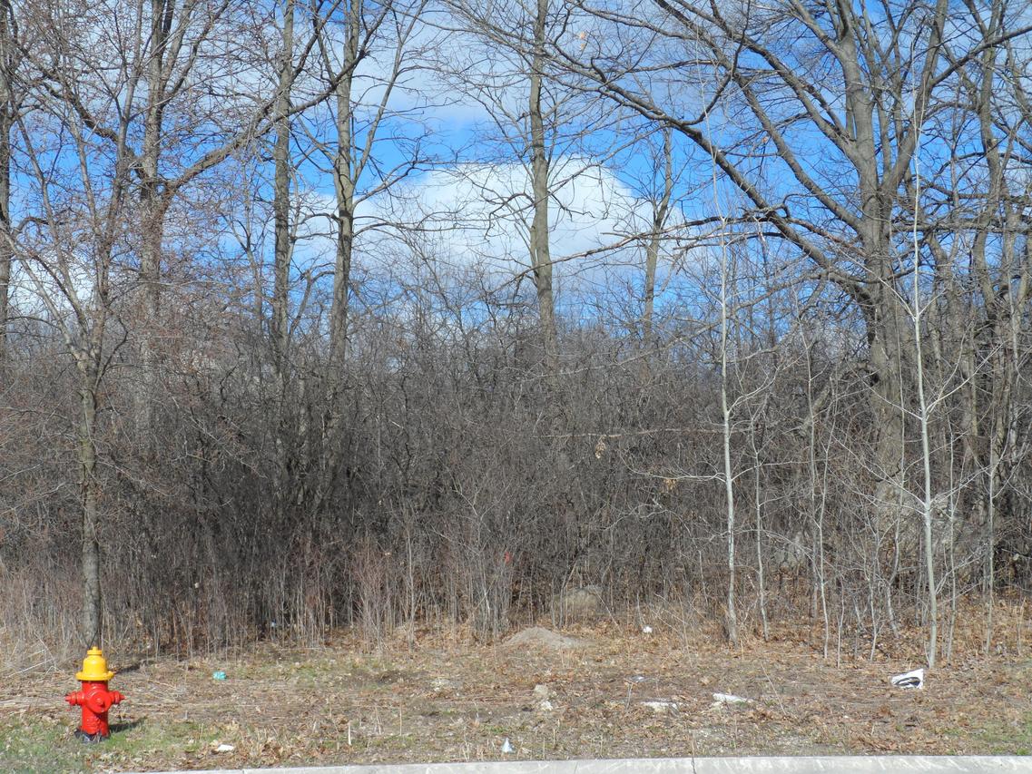 Lt11 Brandybrook Trl, Brown Deer, WI 53223