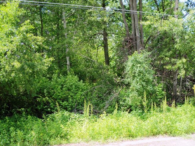 Lt99 Florence St., Two Rivers, WI 54241