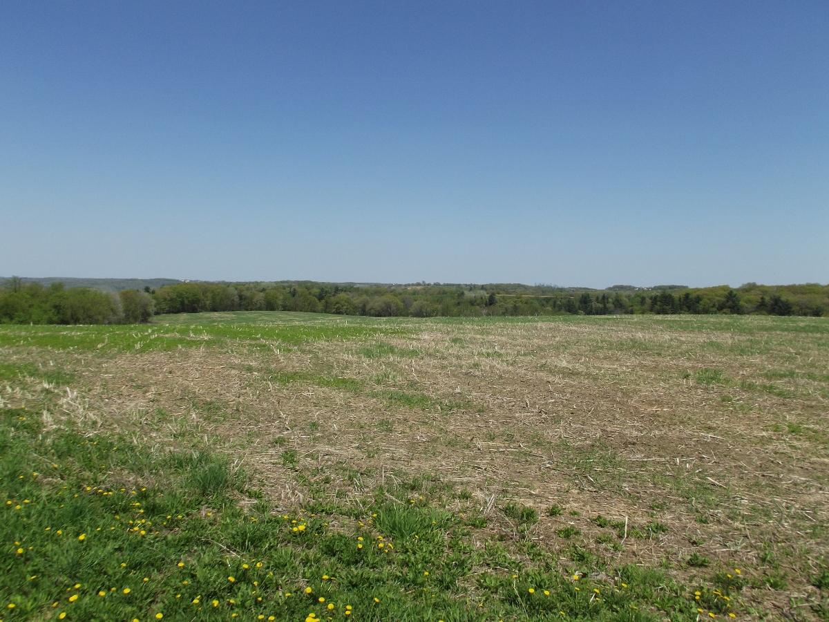 30+/- AC Mimosa/midway, Wellington, WI 54670