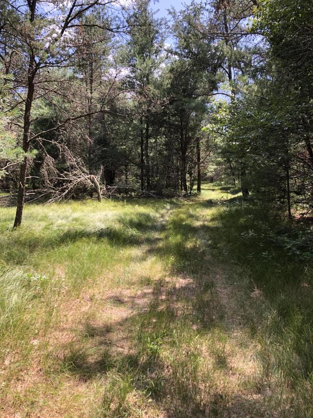 Lot 3 Delaware Ave., Lafayette, WI 54656