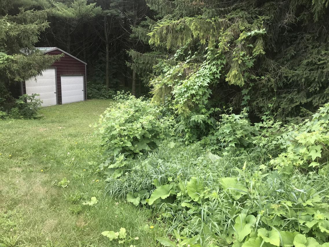 Lt99 Pigeon Lake, Liberty, WI 54245