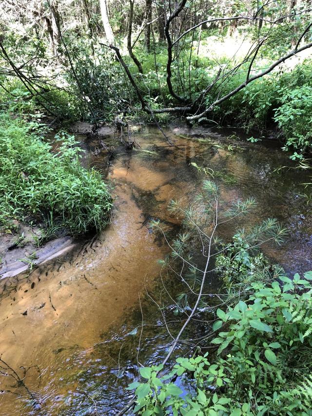 Lot 4 Delaware Ave., Lafayette, WI 54656