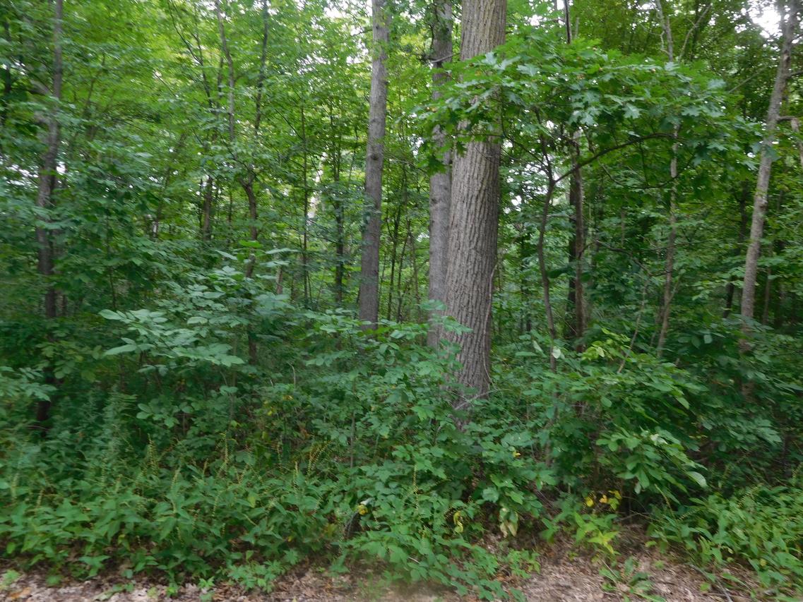 Lt1 Mc Namara Rd., Dover, WI 53139