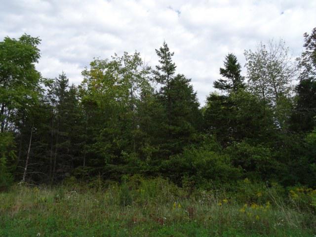 2929 Oakcrest Dr., Dover, WI 53139