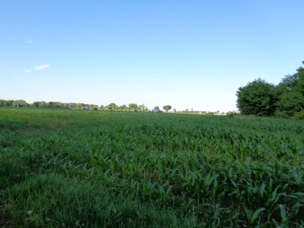 Lt0 Kosmal Ln., Lena, WI 54139