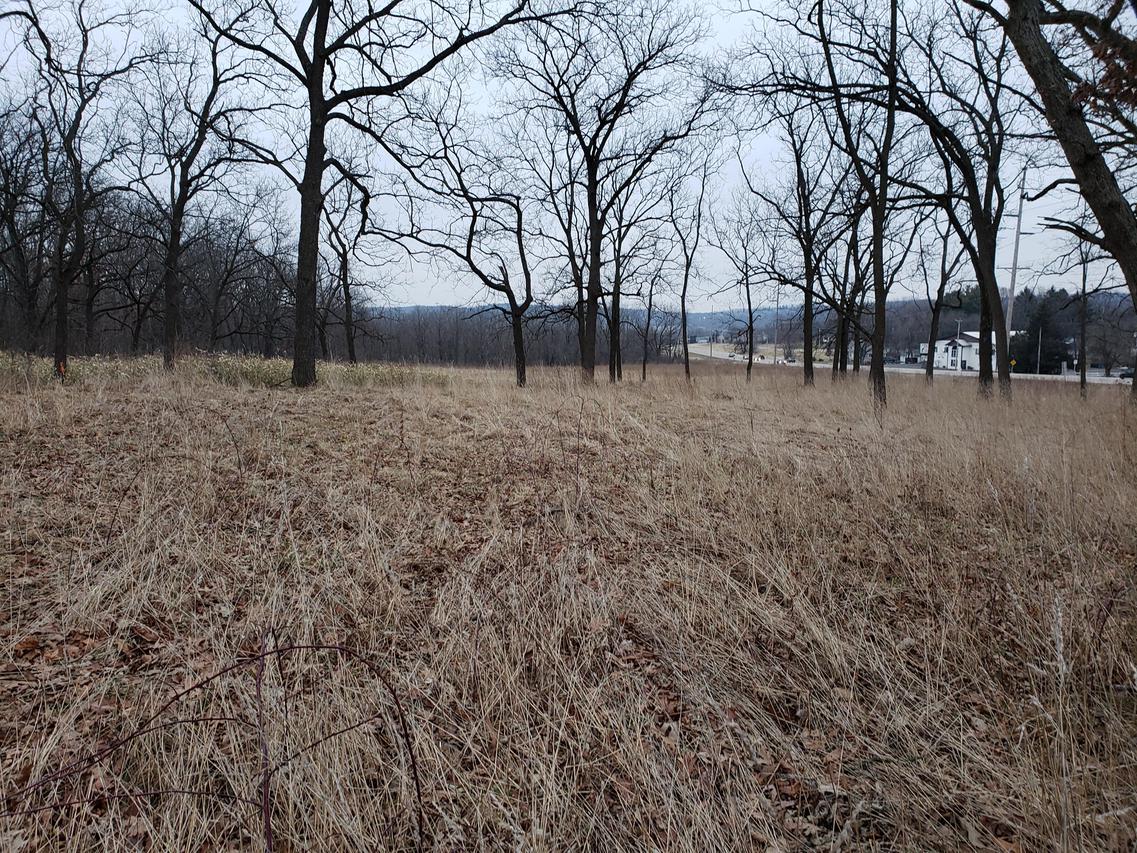 Lt20 Springfield Rd., Geneva, WI 53147