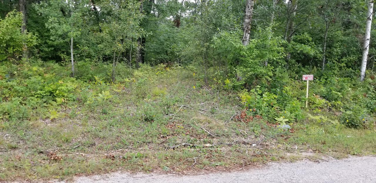 [Address Hidden by Seller], Coleman, WI 54114
