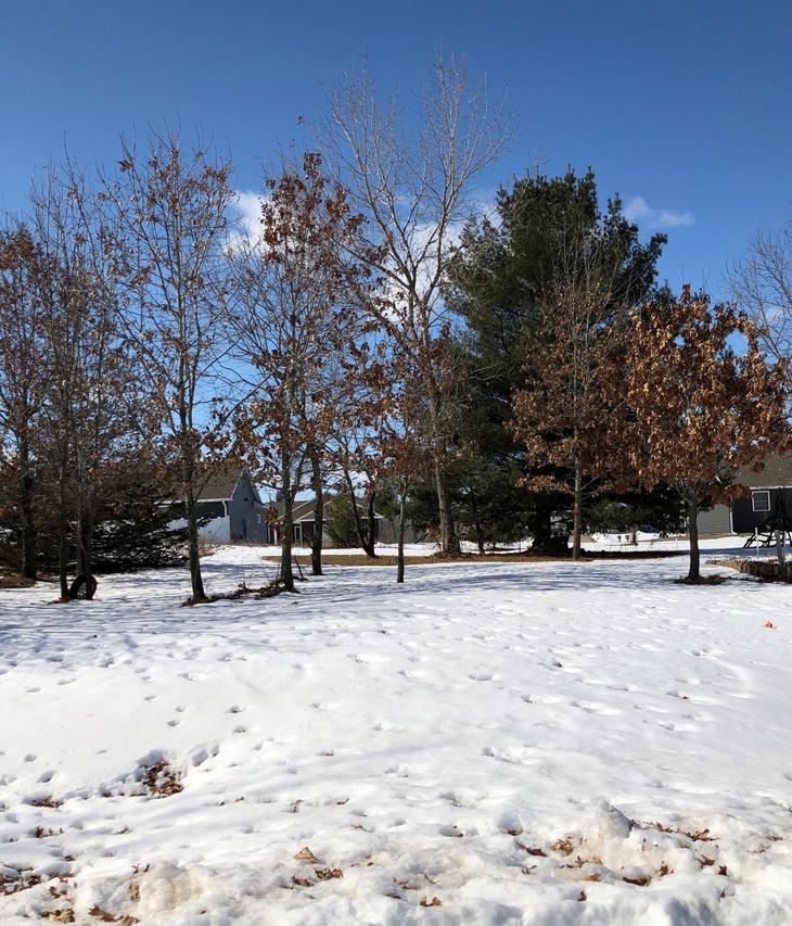 1570 Hickory St., Rockland, WI 54653