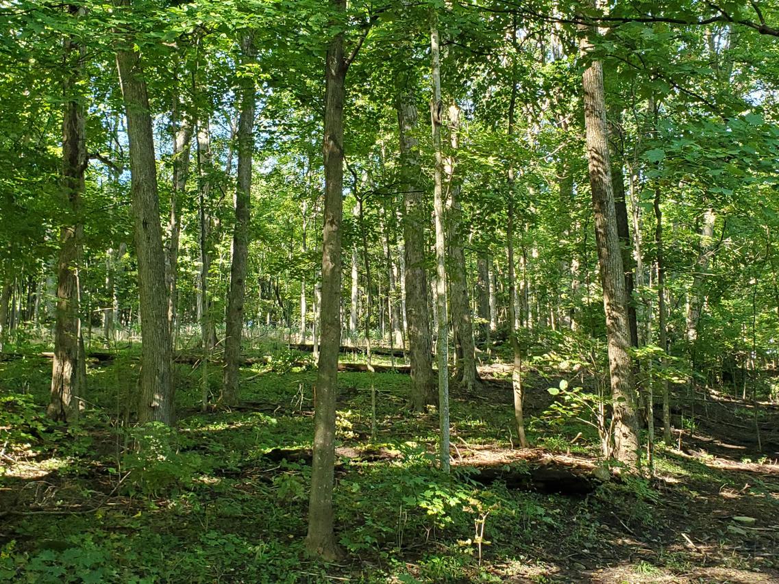 Lt14 Snake Rd. #14A, Geneva, WI 53147
