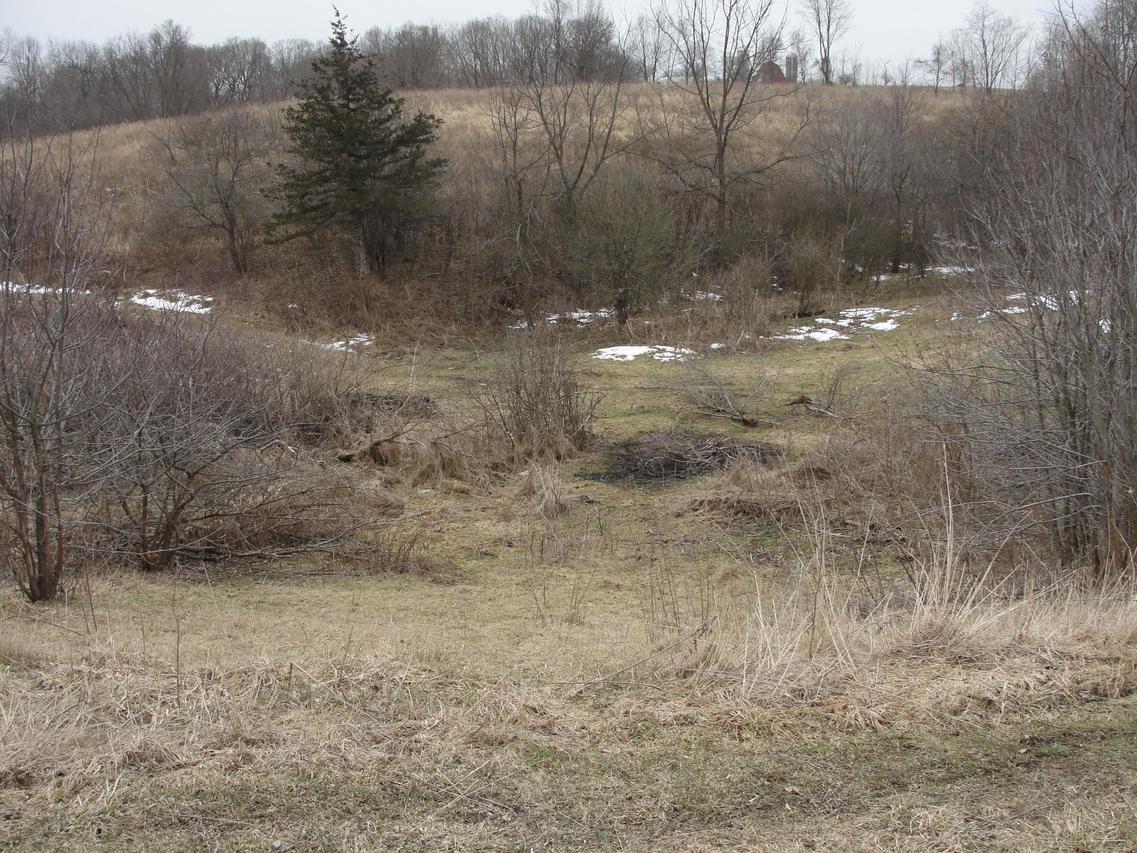 RR Wemmer Hollow Rd., Webster, WI 54639