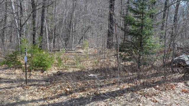 Lt0 Smiley Rd., Athelstane, WI 54104