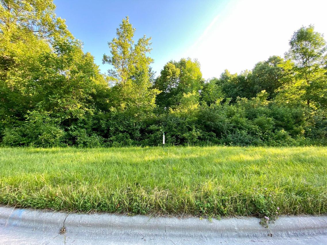 1132 Lisa Ln, New Holstein, WI 53061