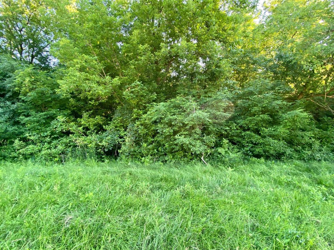 1136 Lisa Ln, New Holstein, WI 53062