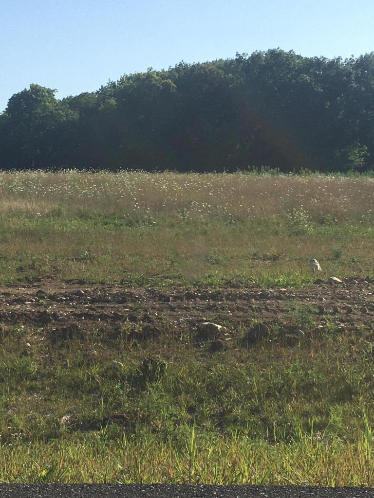 N57W27426 Green Meadow #Lt 2, Lisbon, WI 53089