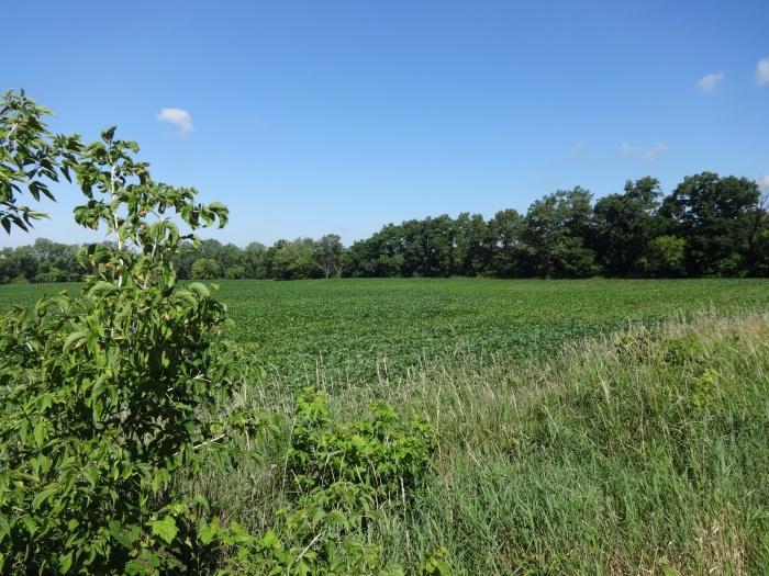 Lot# 2 Mealy Rd., Dover, WI 53185