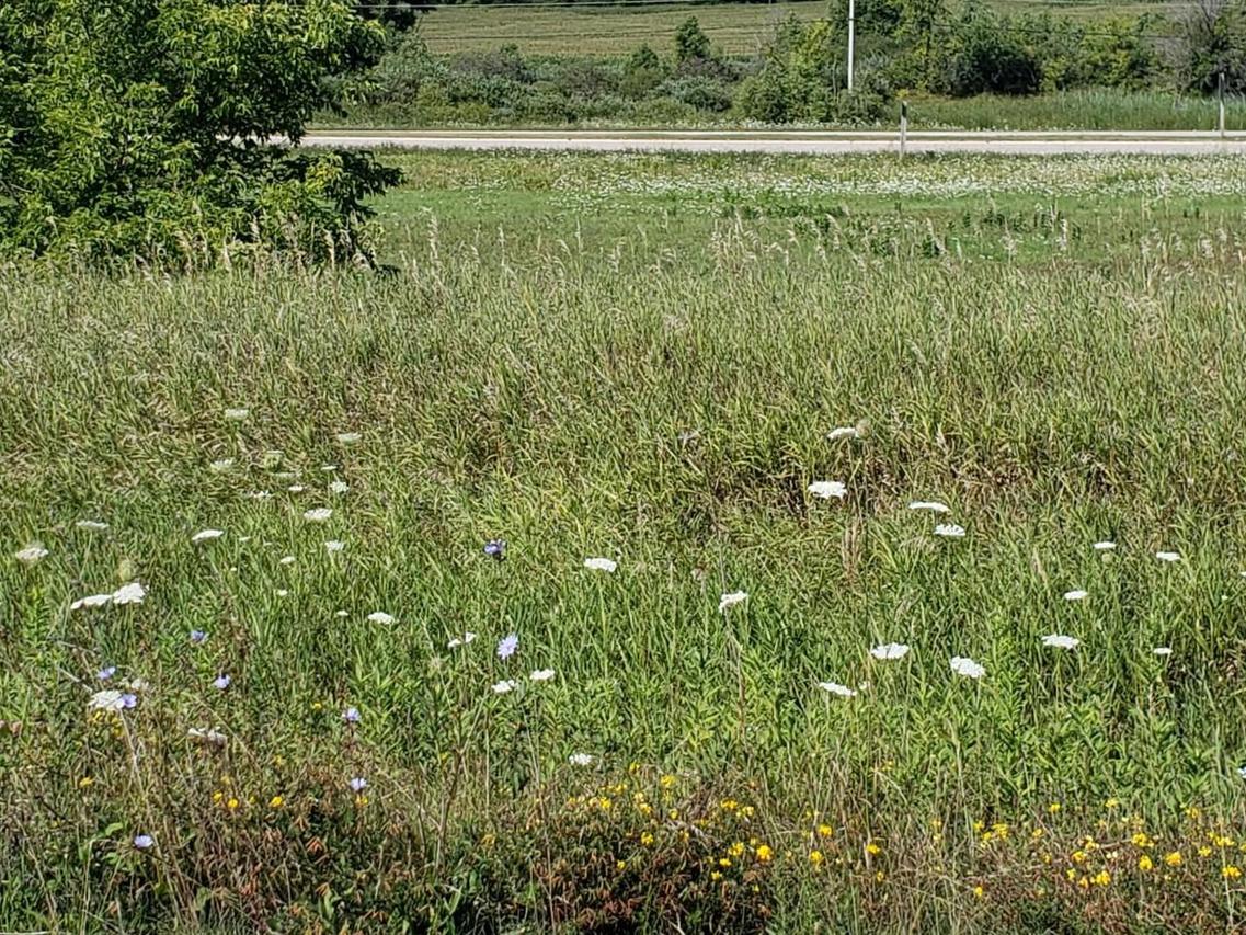 W298S8005 Pheasant Fields Dr., Mukwonago, WI 53149
