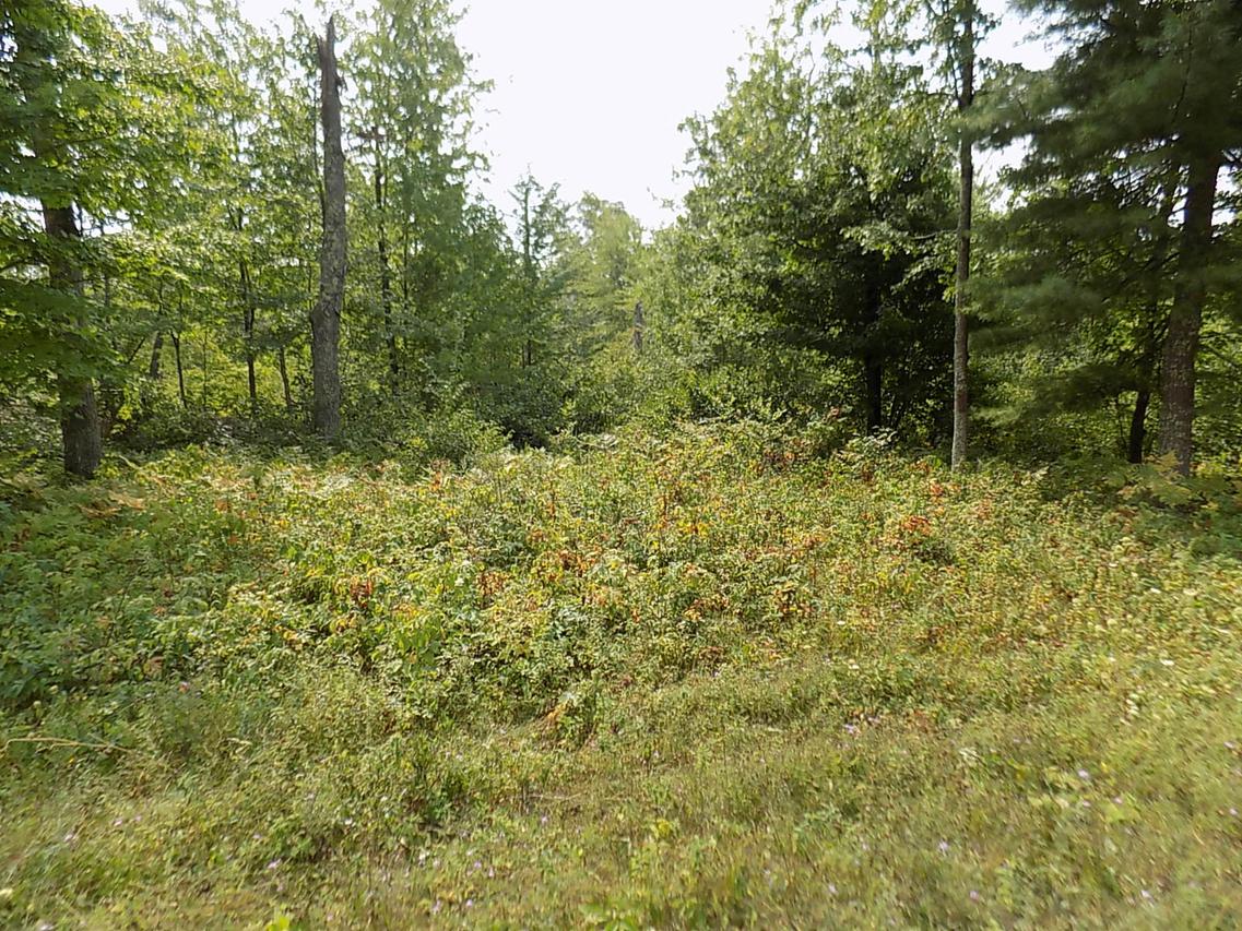 Lot 15 Crimson Ln., Brazeau, WI 54161