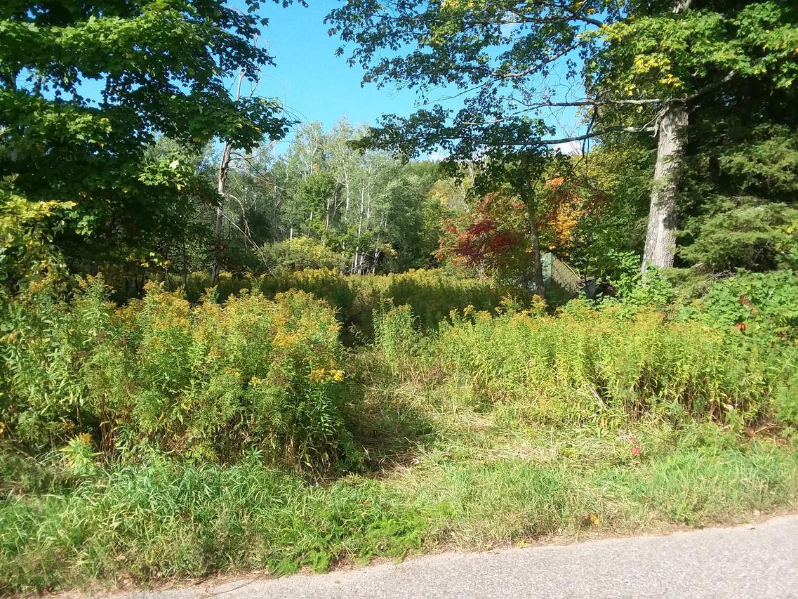 Lt0 Forest Rd., Upham, WI 54424