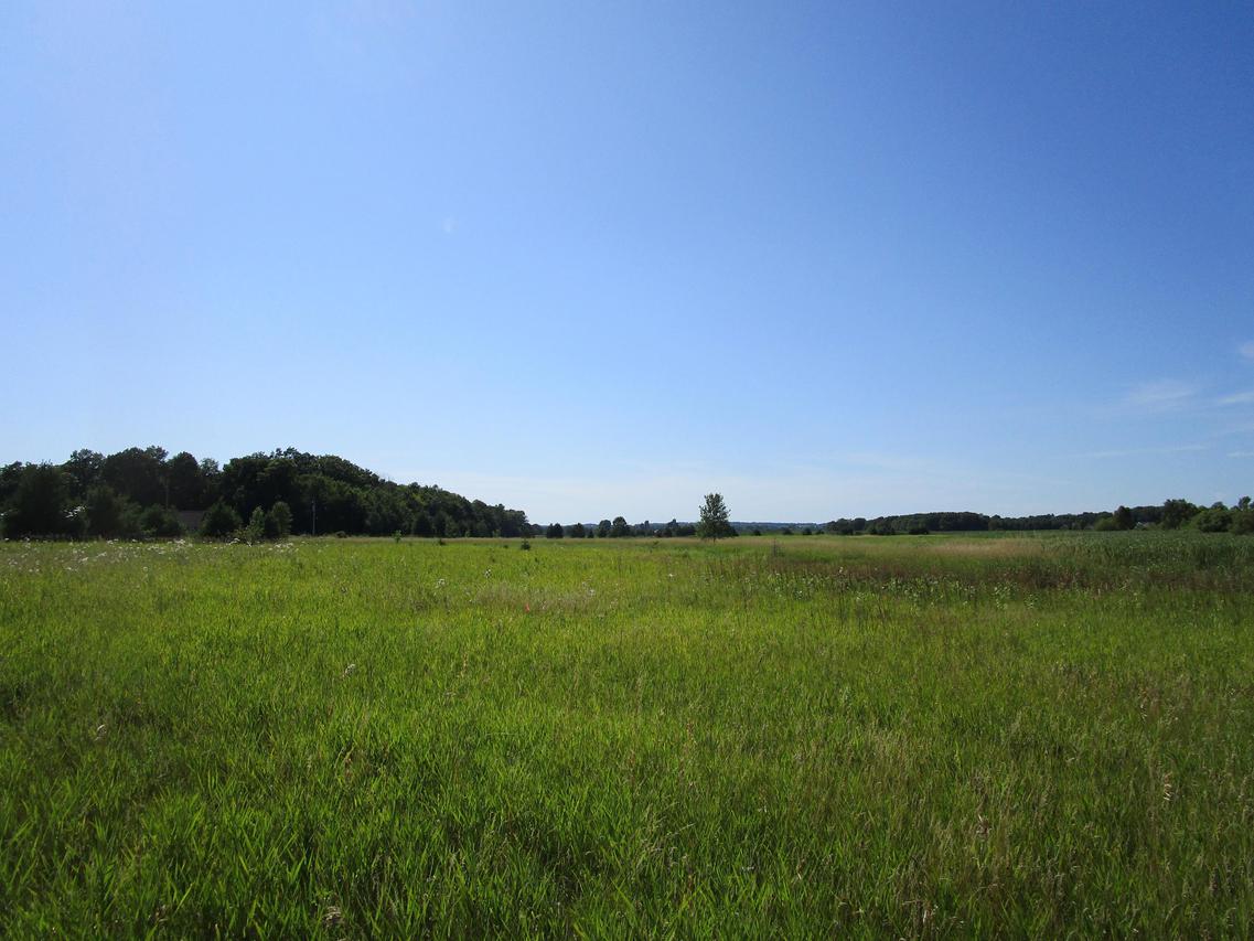 Lot 99 Lambert Ln., Newton, WI 54220